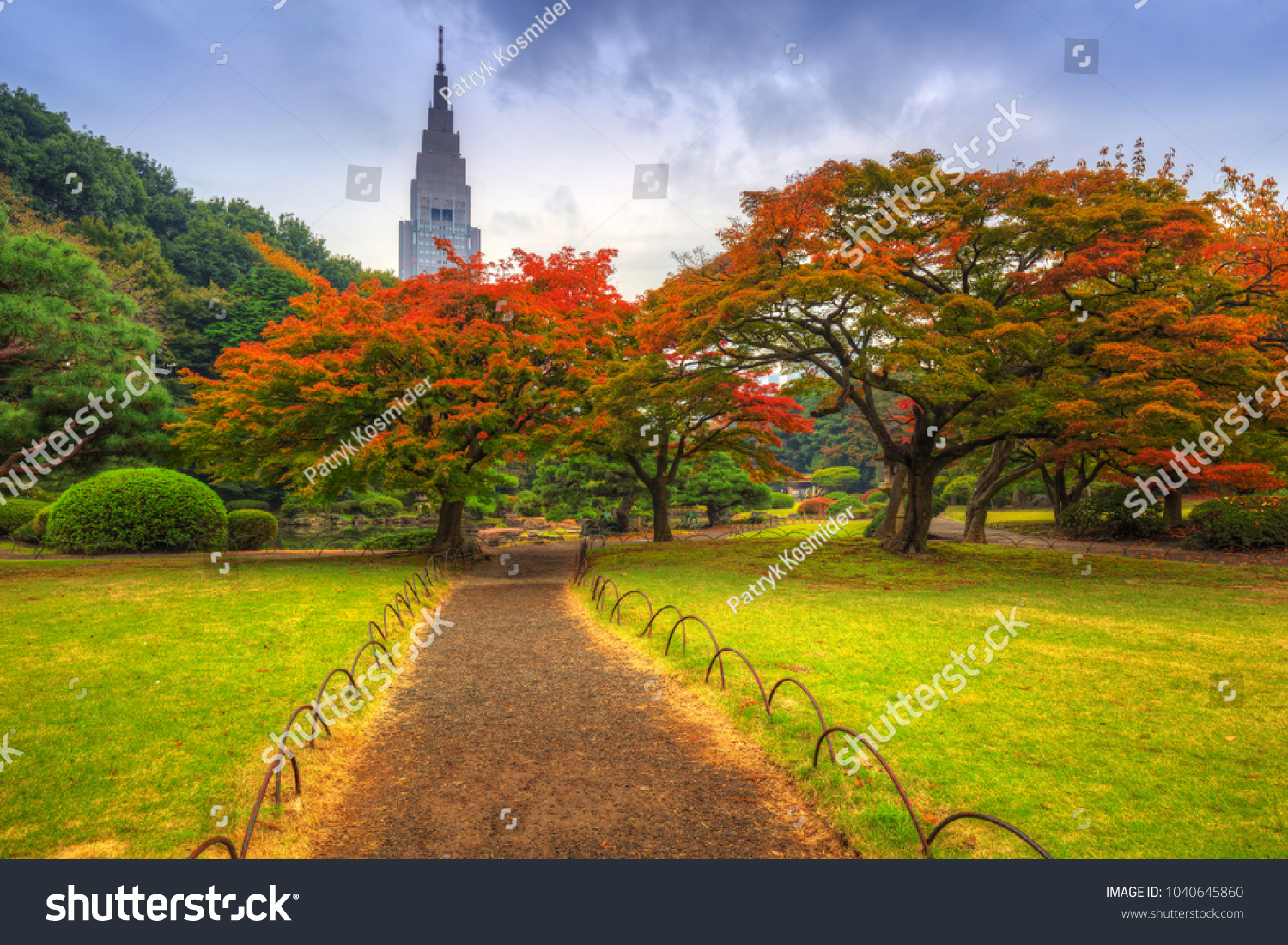 Autumn in the Shinjuku Park  Tokyo  Japan