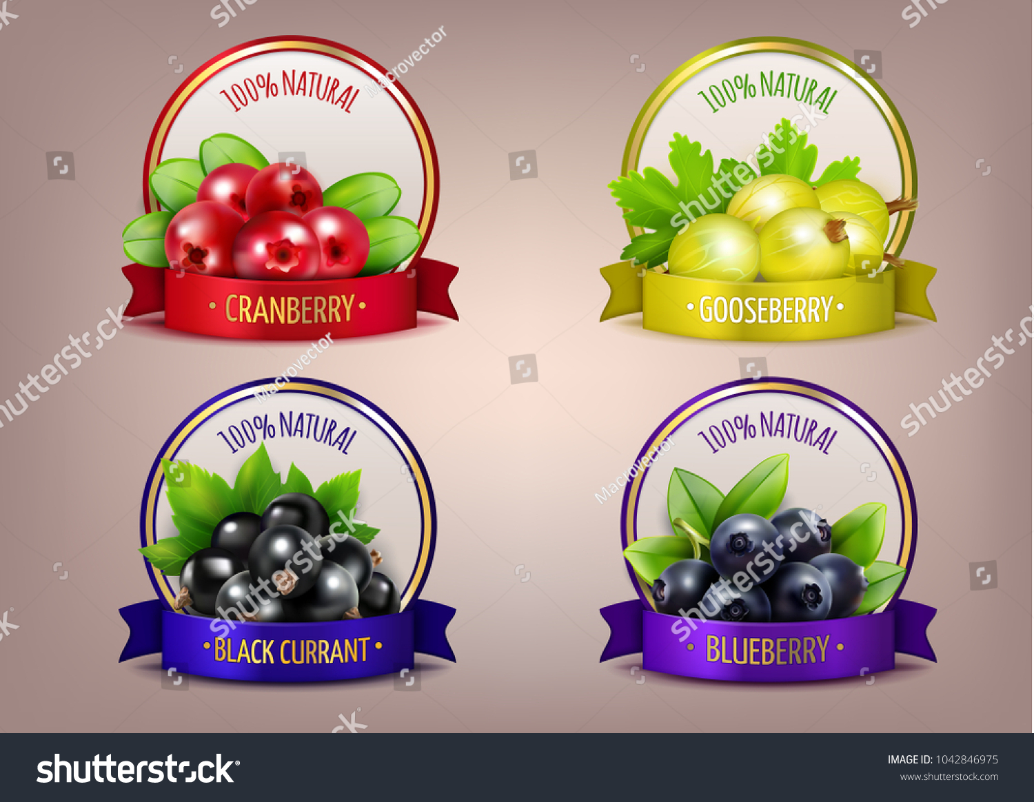 Berry labels realistic eco collection with branches of gooseberry cranberry blueberry and black currant isolated illustration