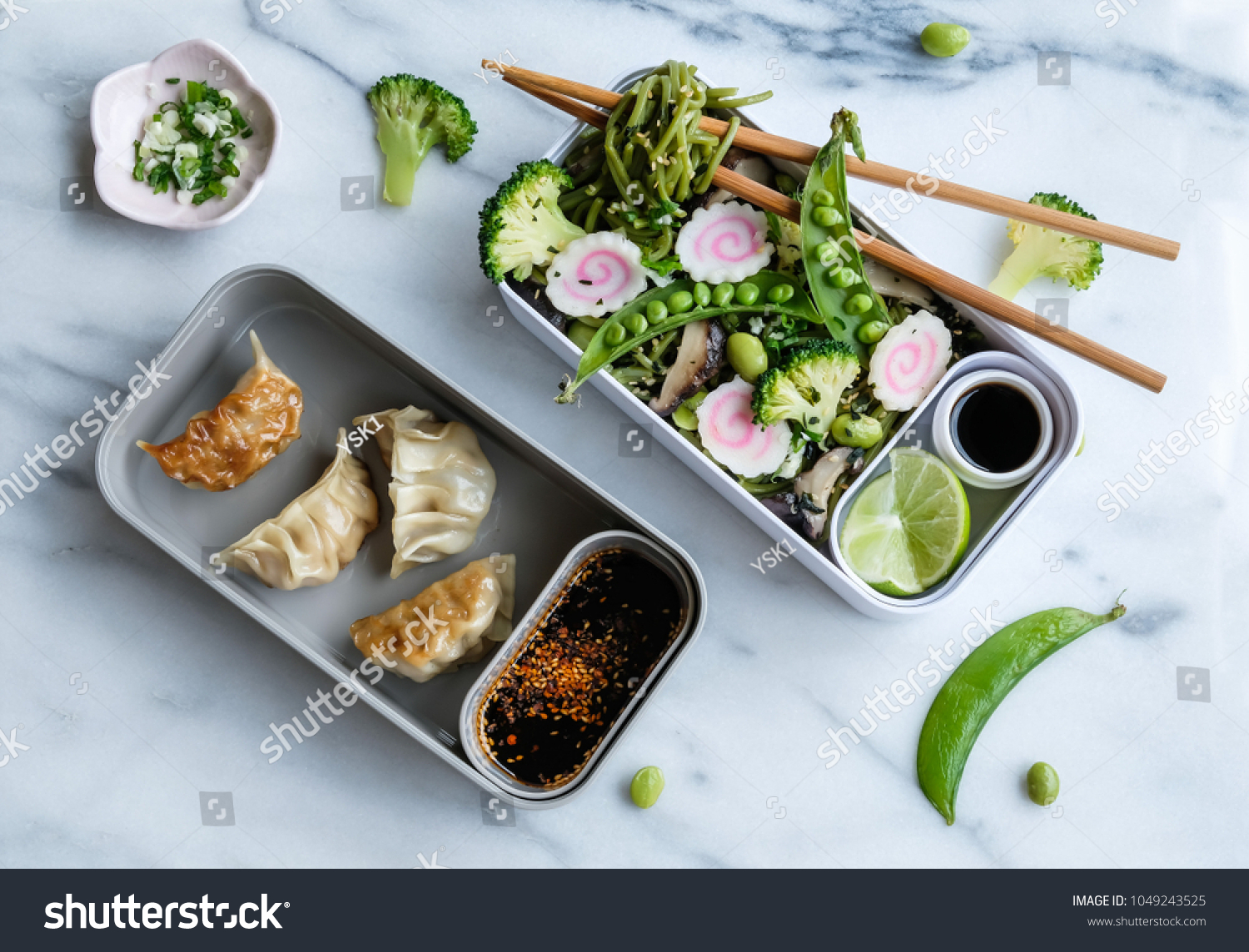 Homemade Japanese meal / Stir fry Chasoba with Gyoza Bento / Delicious and healthy for a clean living lifestyle