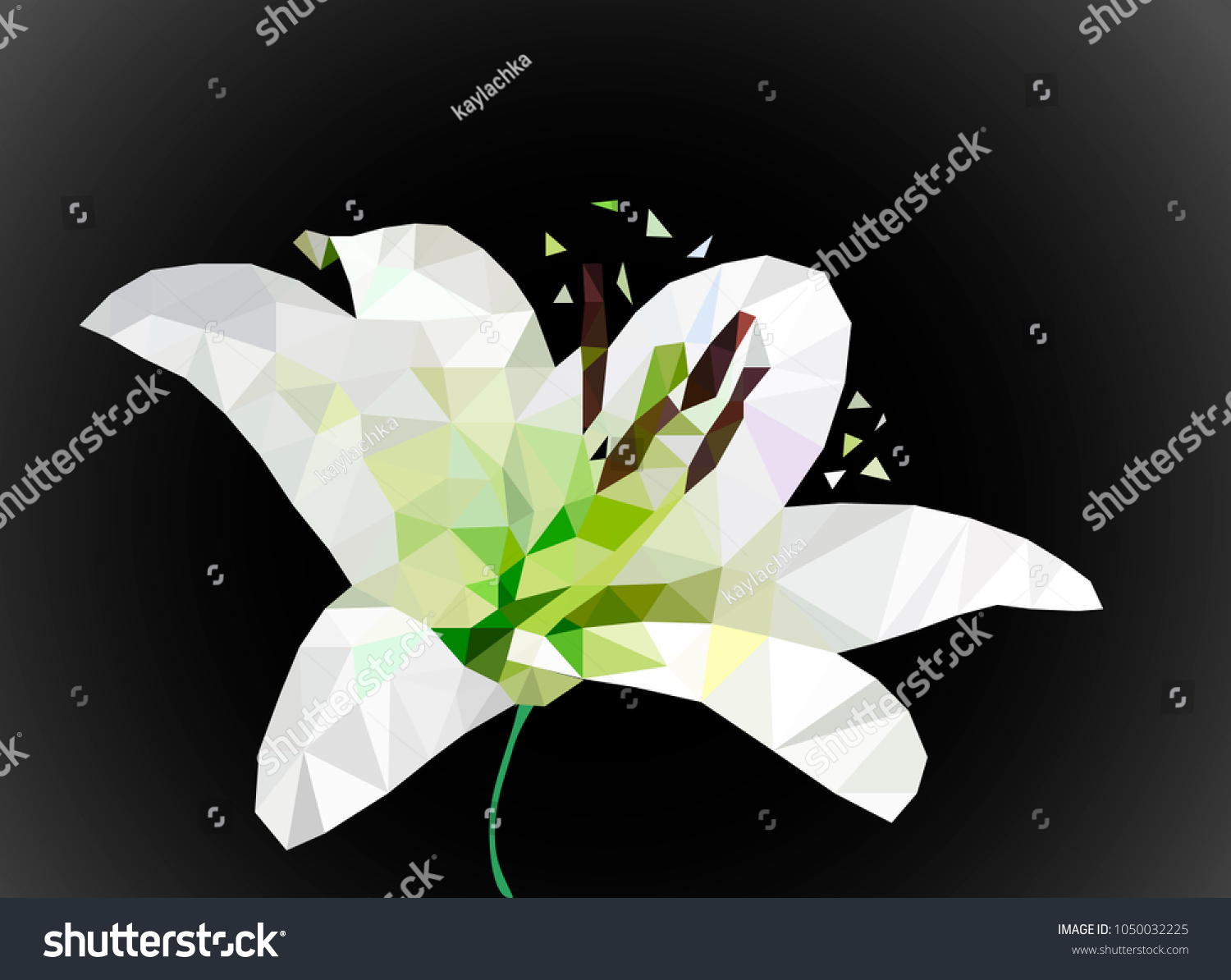 Low poly design  polygonal white lily  polygon geometric flower  isolated vector. Vector EPS.