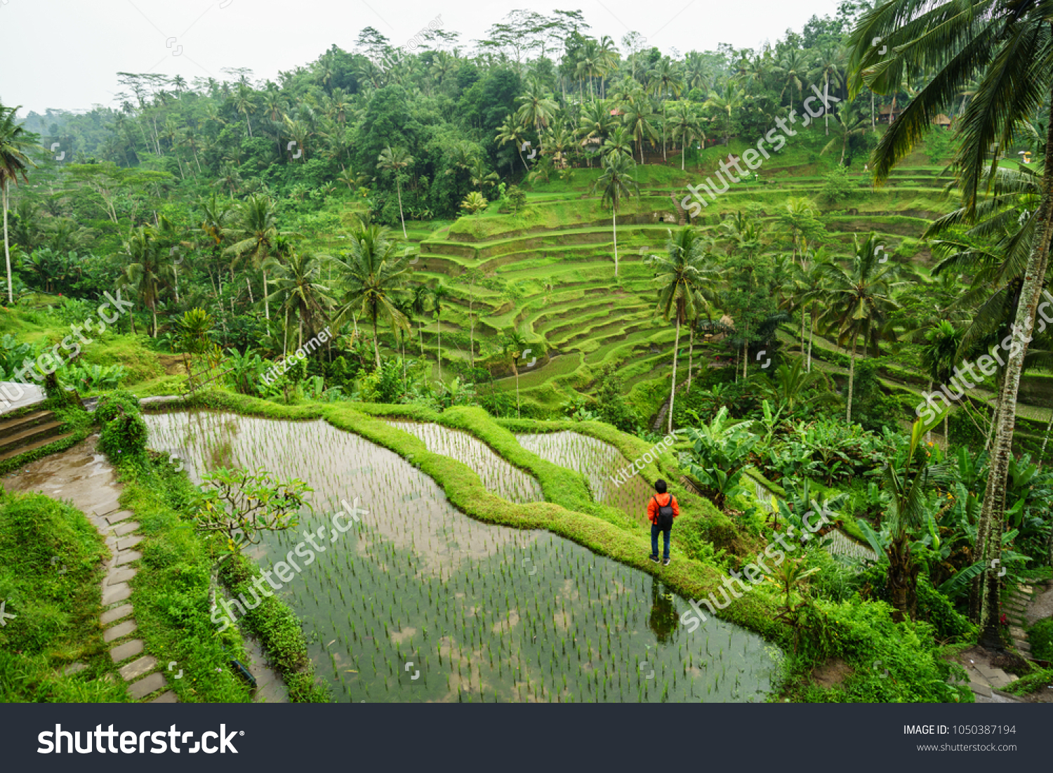 Young traveler looking at beautiful tegallalang rice terrace in Bali  Indonesia