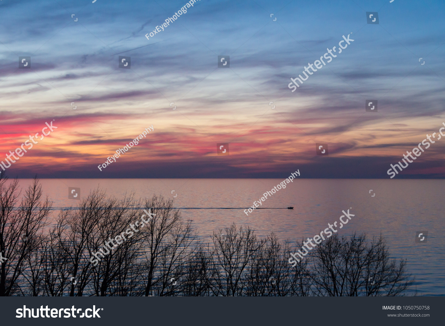 Photos of trees in the dunes of Lake Michigan silhouetted by the sunset. Various processing for different looks. This shot has a boat on the water crossing the scene.