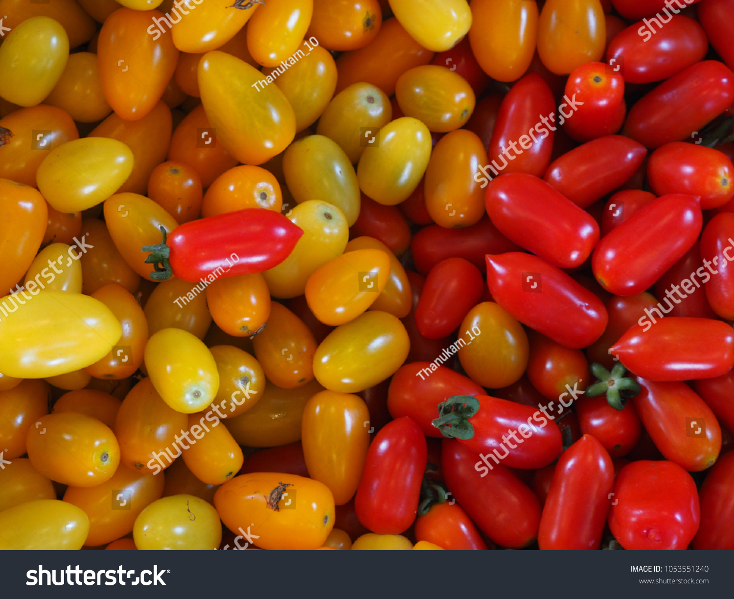 redandyelloworganictomato