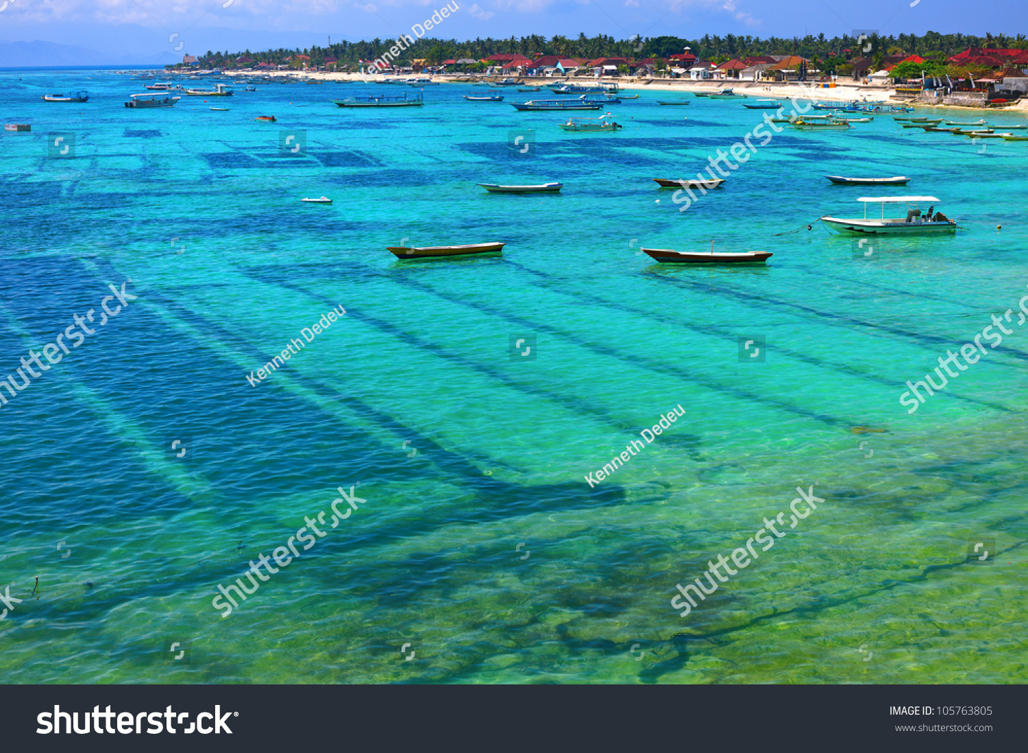 Nusa lembongan seaweed farming in Bali  Indonesia