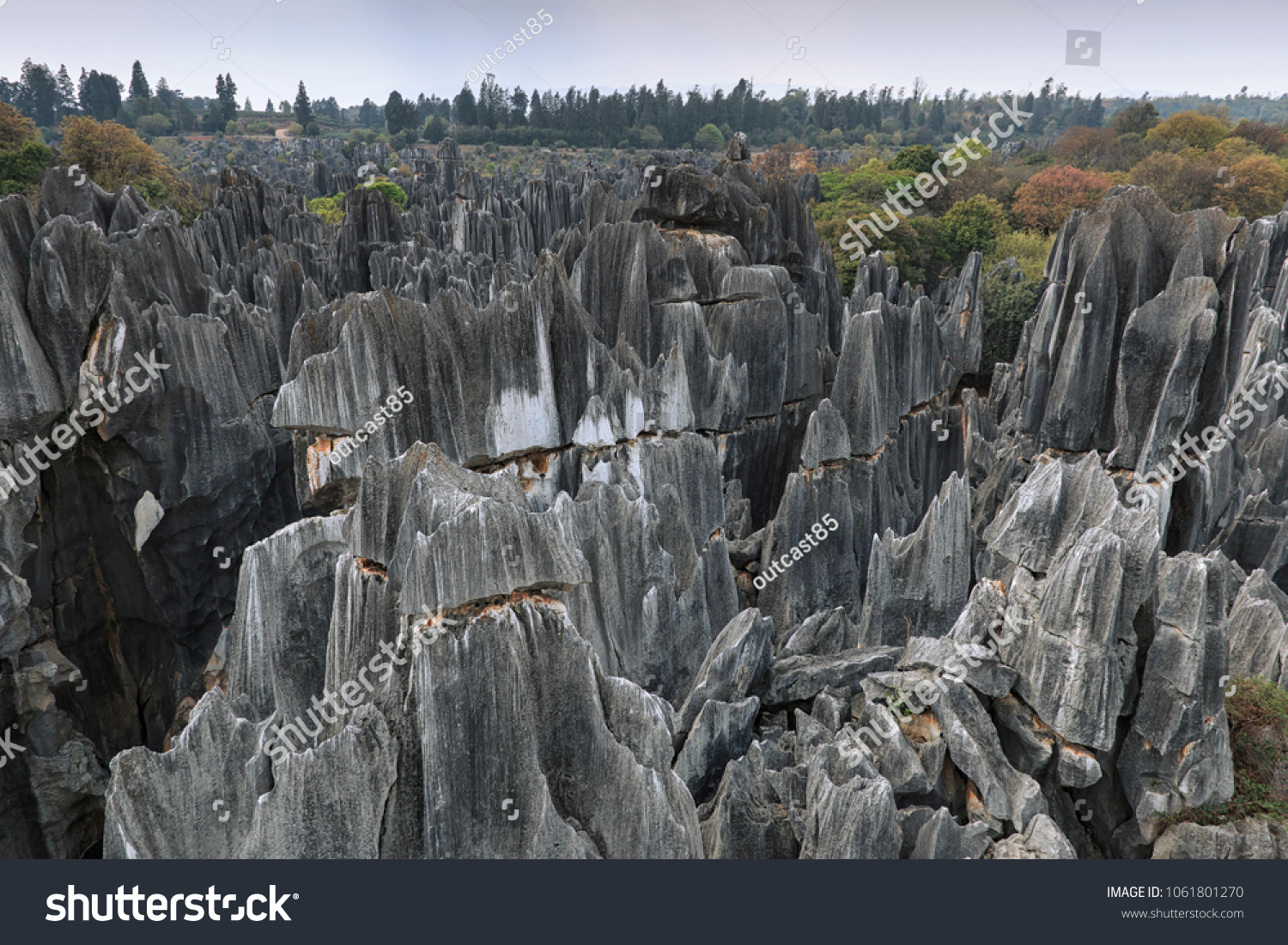 Panoramic view of the Stone forest in Kunming  Yunnan province  China  also know as Shilin