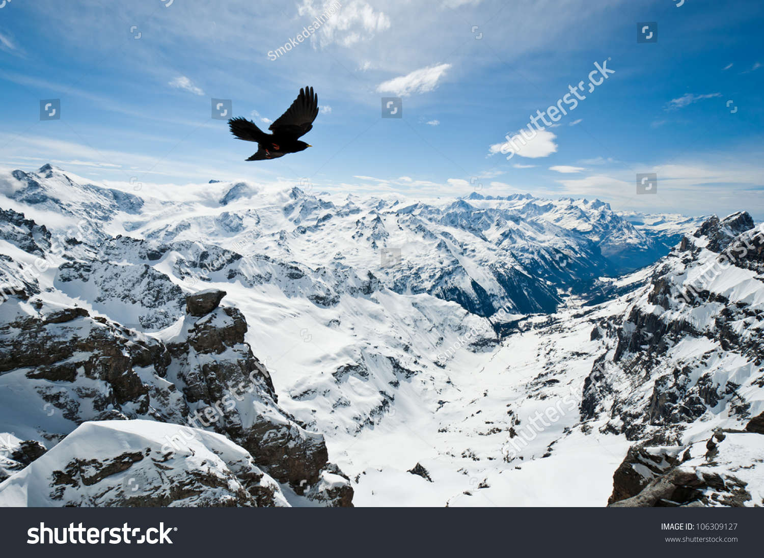 Urner Alps  view from top of Titlis mountain  Obwalden  Switzerland