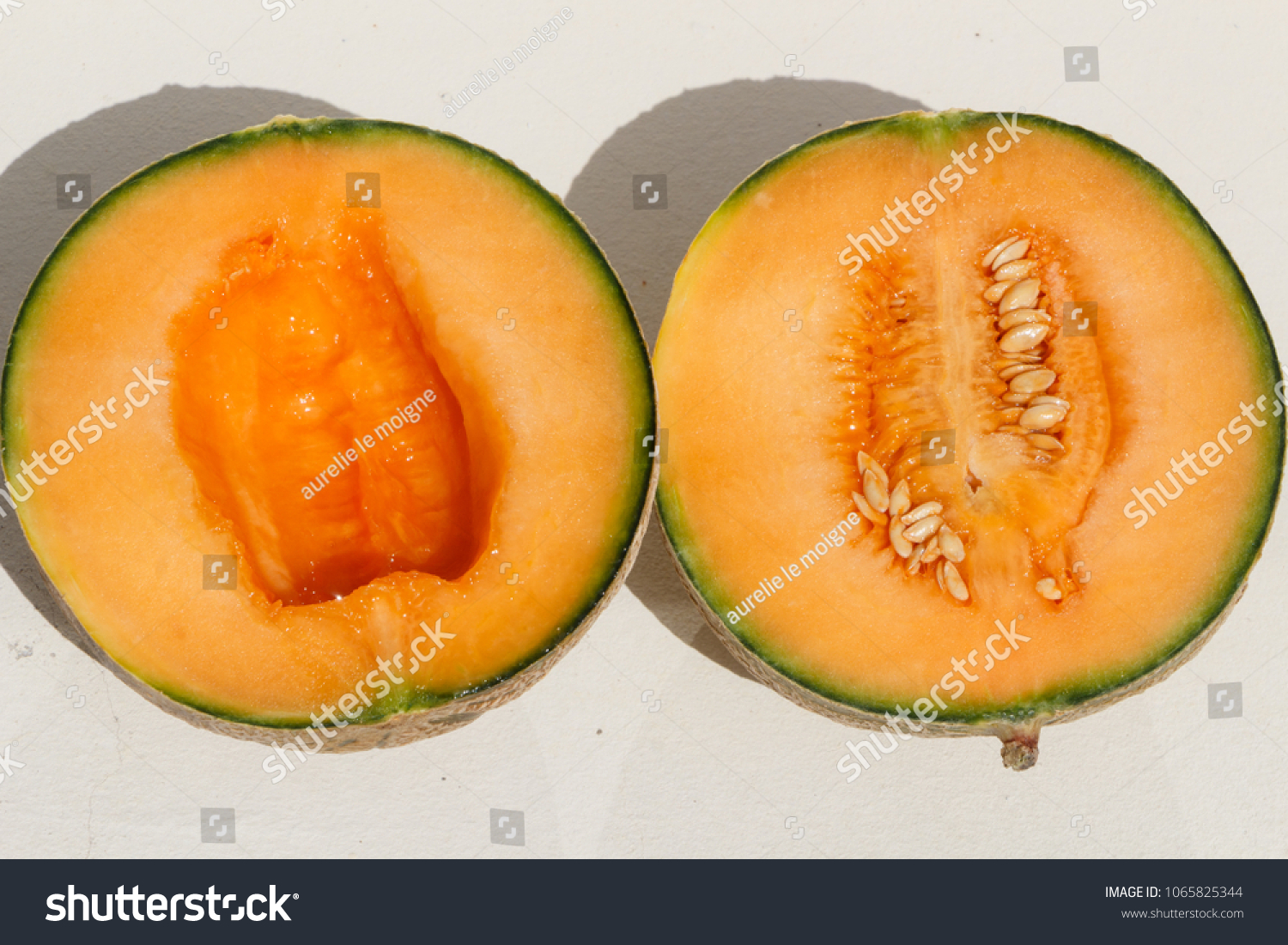 melon=melon是什么水果
