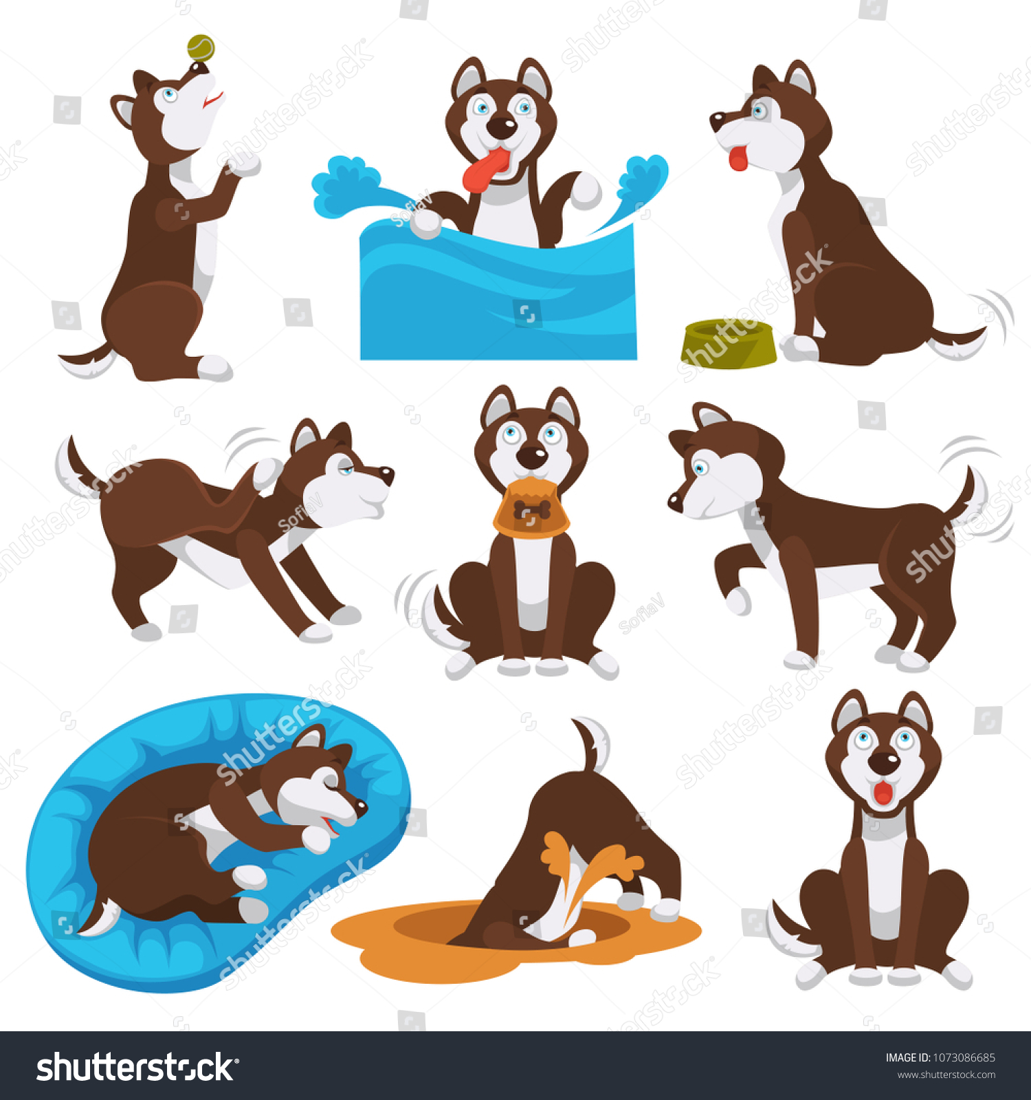 Husky dog cartoon pet playing or training