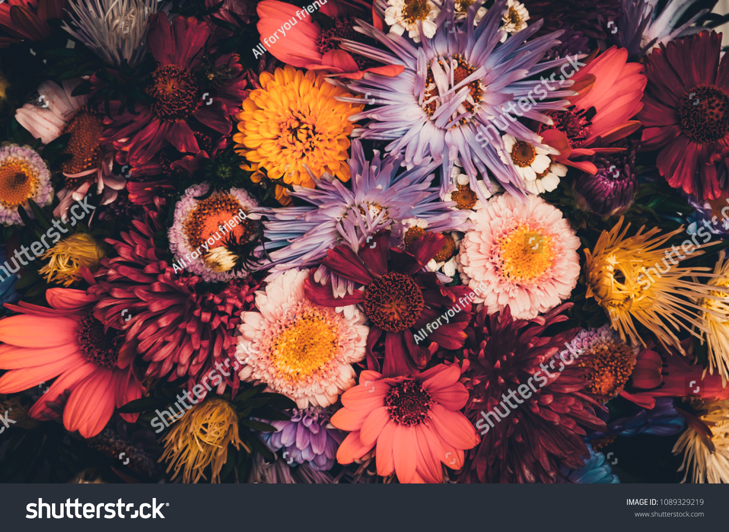 Bouquet of multicolored flowers on a dark background. Colorful bouquet of different fresh flowers. Rustic flower background. Retro style. Vintage photo. close-up