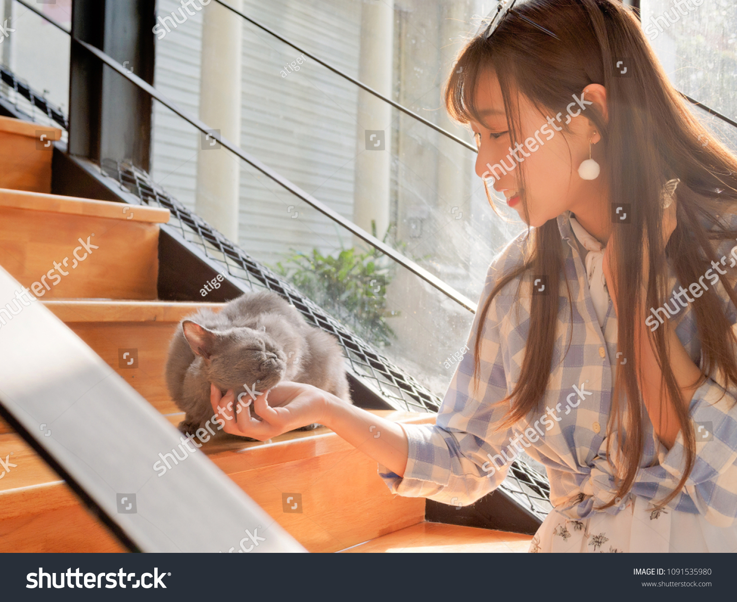 Portrait of Chinese young girl play with her cat at home in sunny afternoon happy pets lifestyle.