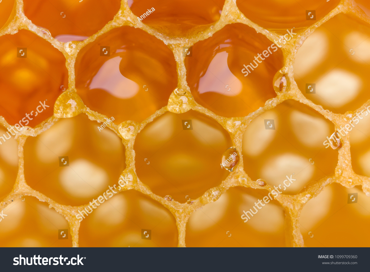 Extreme macro shot of a honey filled honeycomb
