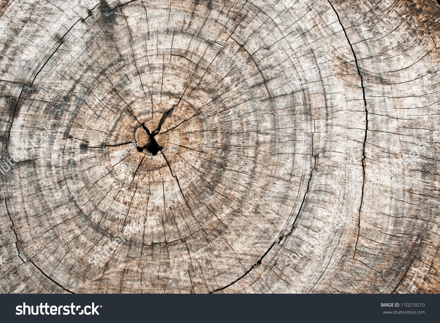 Rough wooden cut texture and cracks pattern