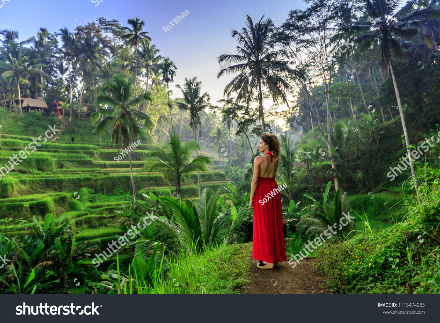 Young woman in red dress walking in rice fields Bali in Tegallalang. Rustic Ubud village landscape outside. Fashion style