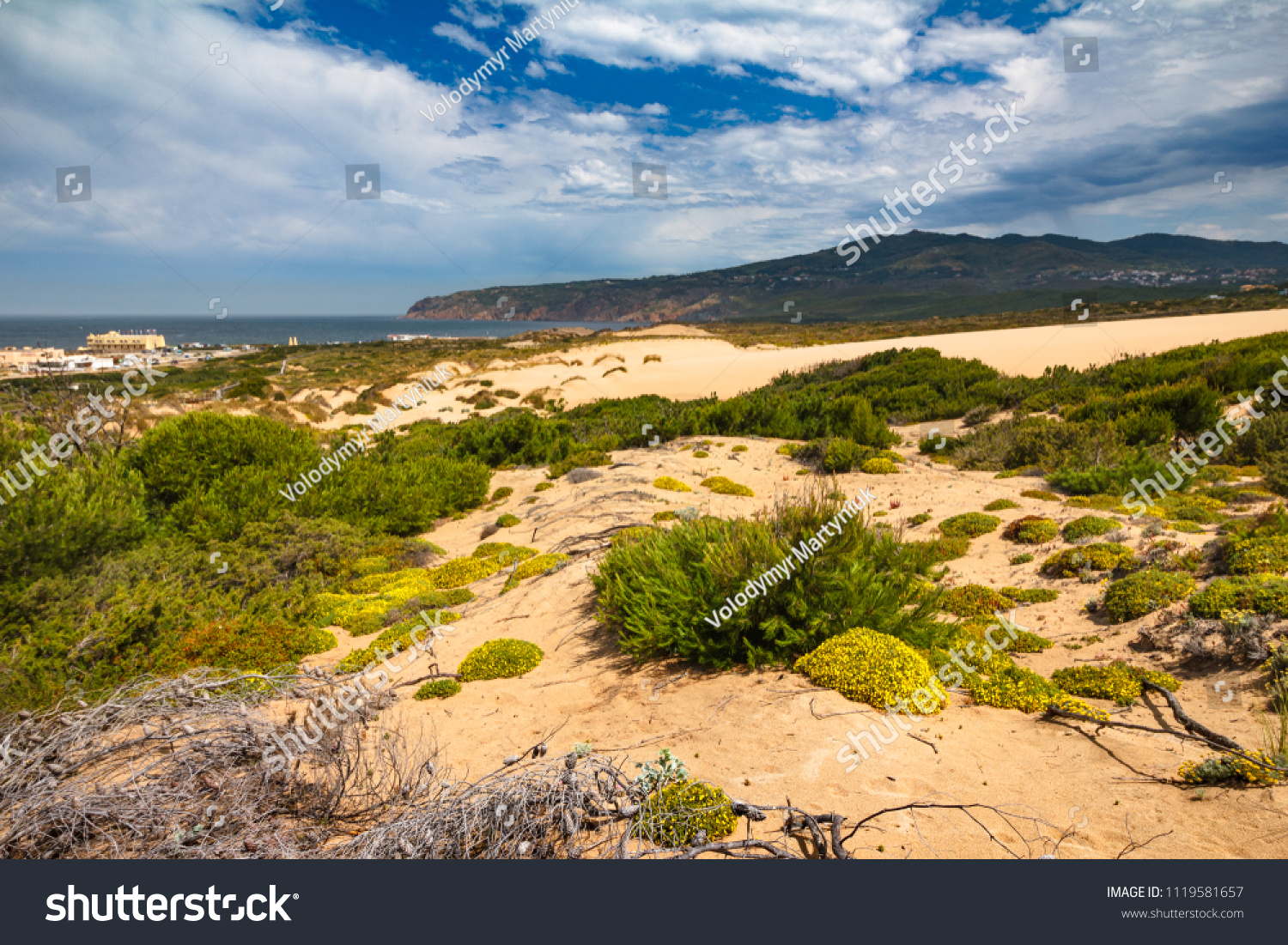 viewofsanddunesontheguinchobeachnearatlanticcoastland