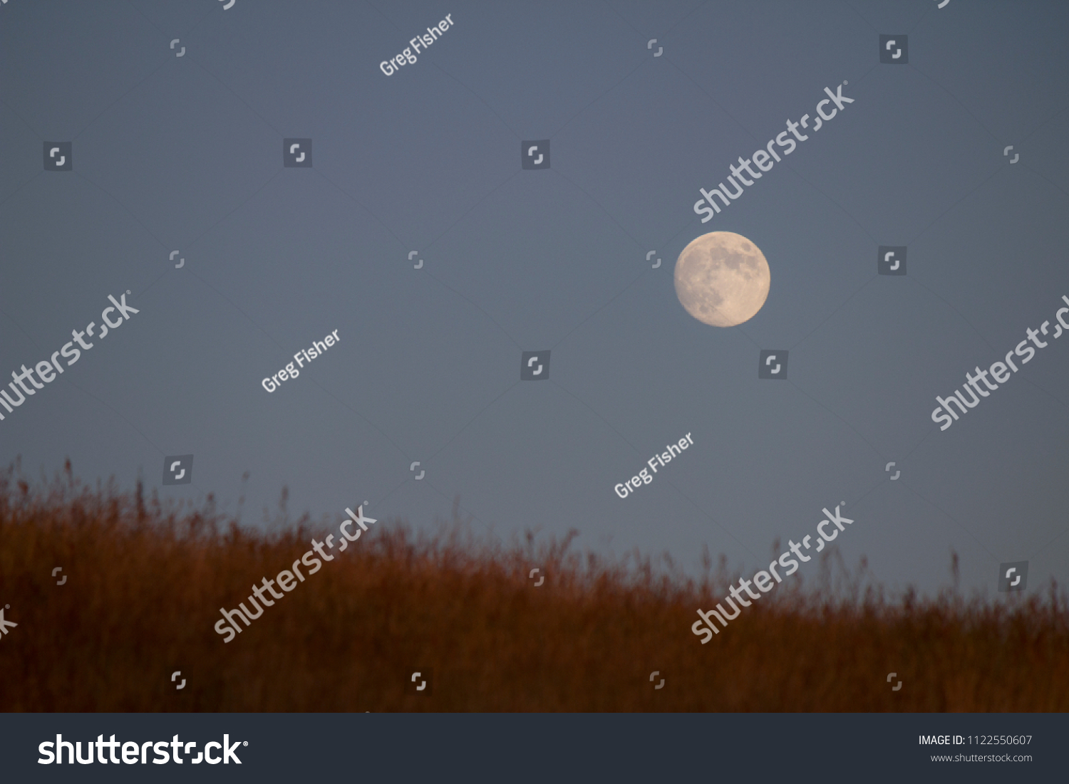 Moon rising above a field