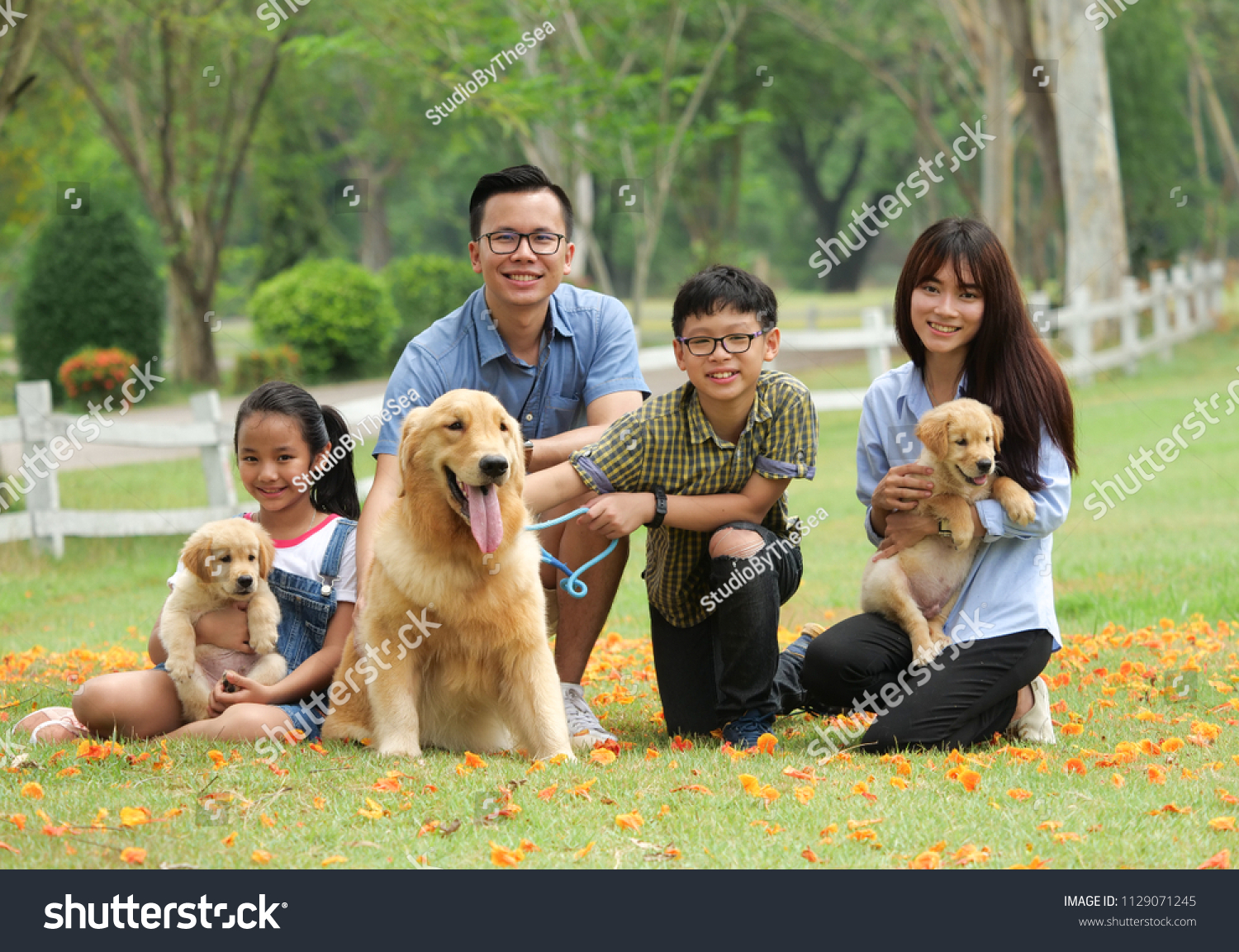Happy family playing with a cute golden retriever dog in the park.