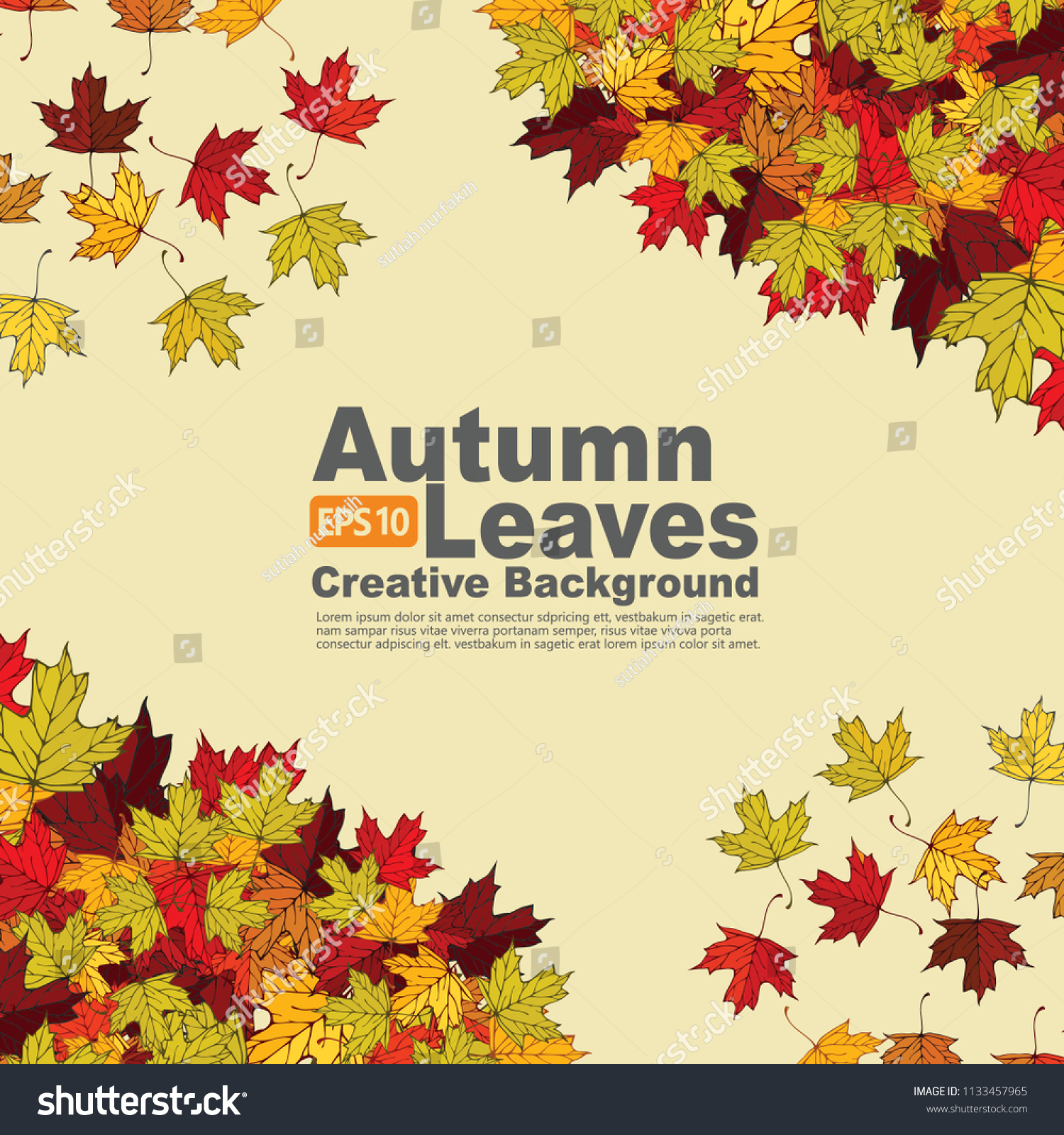 autumn leaves creative background. vector illustration
