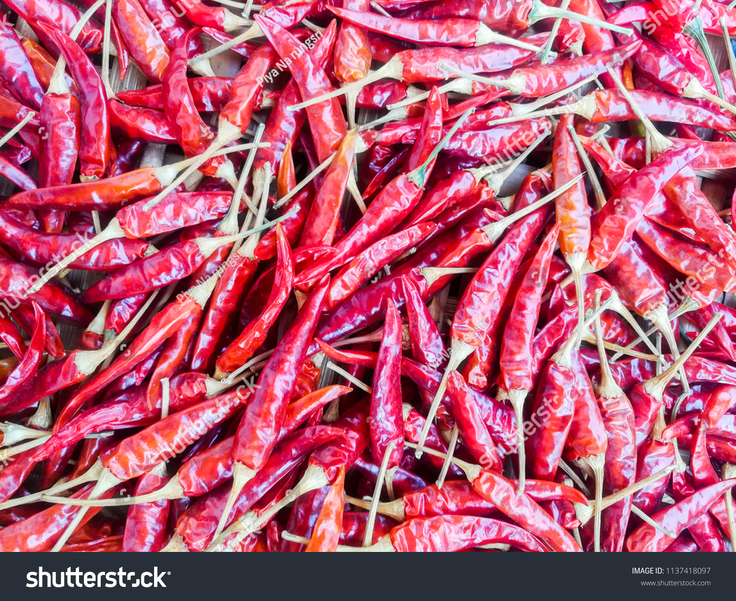 dried red chilli peppers food ingredient
