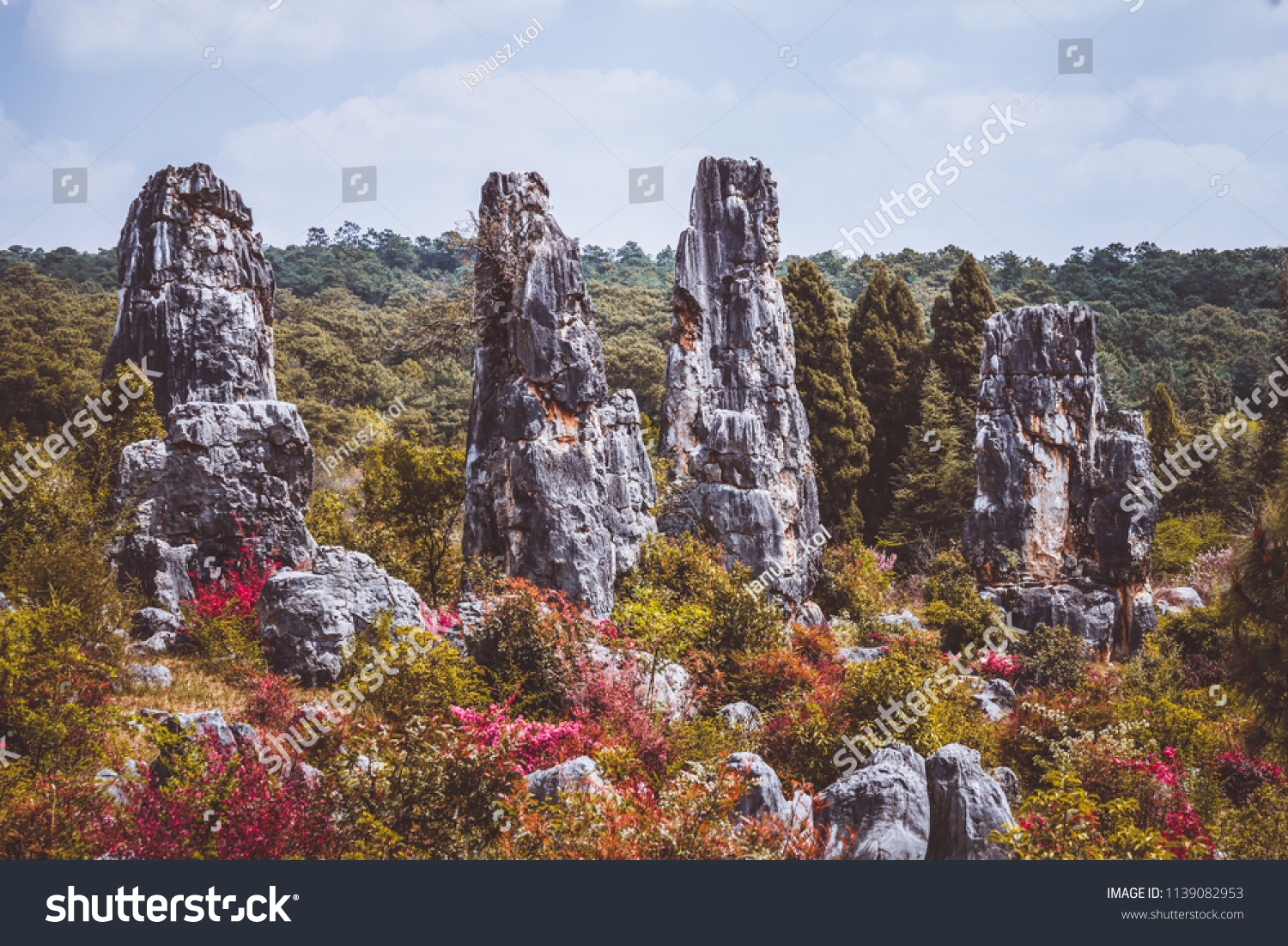 Stone forest rock formations in China