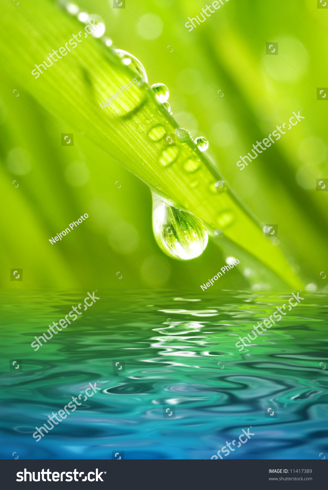 Morning dew on a green grass reflected in rendered water