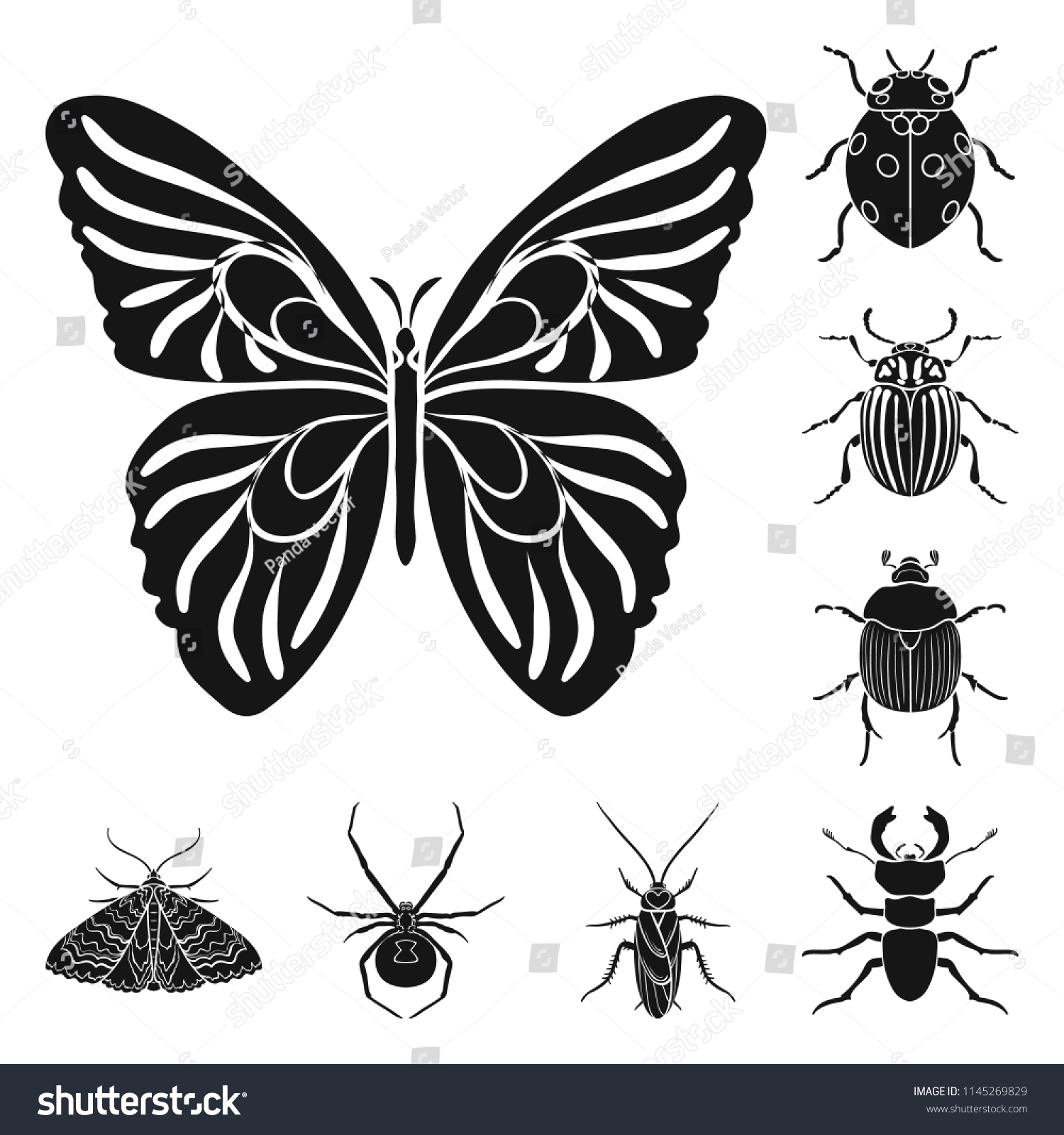 insect arthropod vector symbol stock web illustration