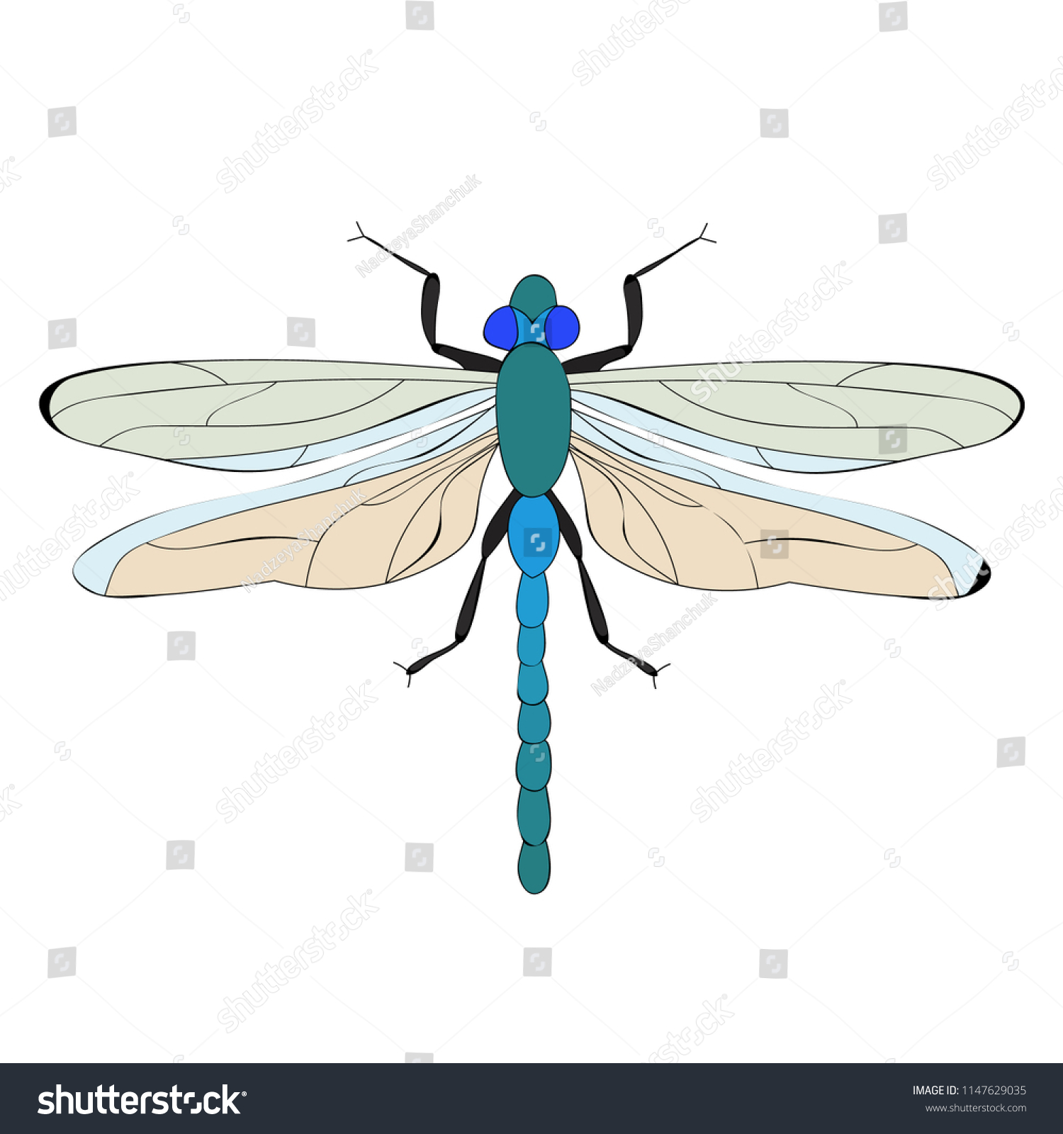 vector  isolated  dragonfly  insect
