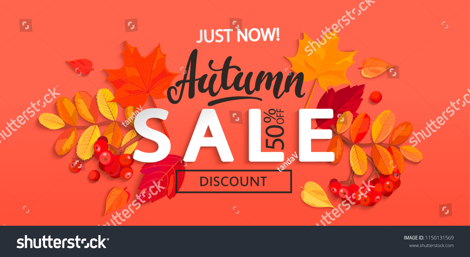 Banner for Autumn sale with colorful seasonal fall leaves and rowan for shopping discount promotion. Vector illustration.