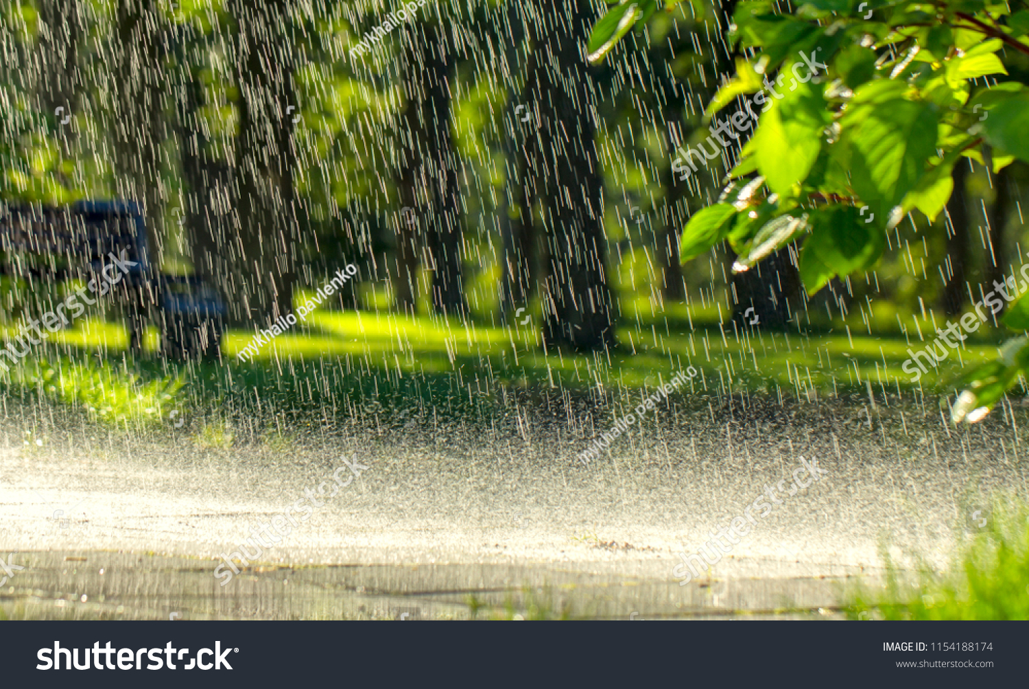 Drops of warm summer rain  falling on the asphalt