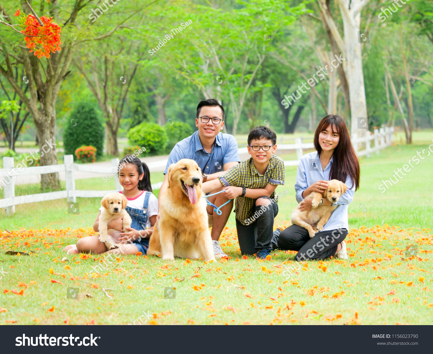 Happy family playing with a cute golden retriever dog in the park.