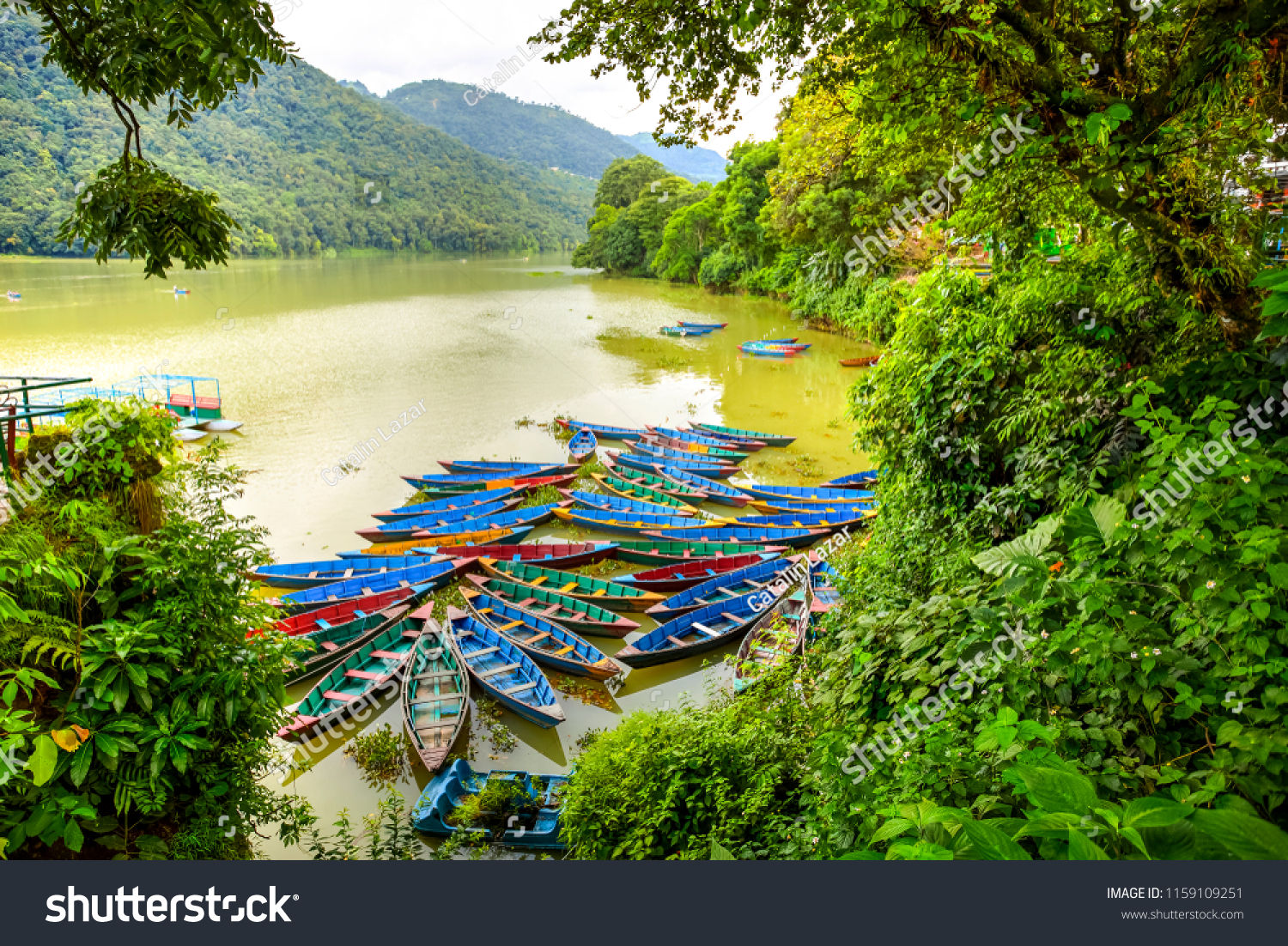 Colorful wooden boats on Phewa Lake  Pokhara  Nepal