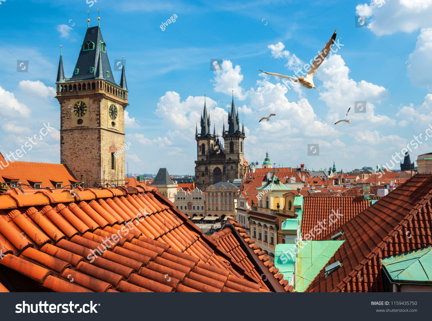 Gulls over Prague chimes and Tynsky cathedral at summer day