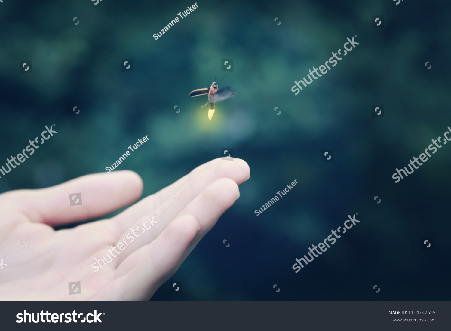 Firefly flying away from a child's hand  shallow focus on hand  motion blur on firefly