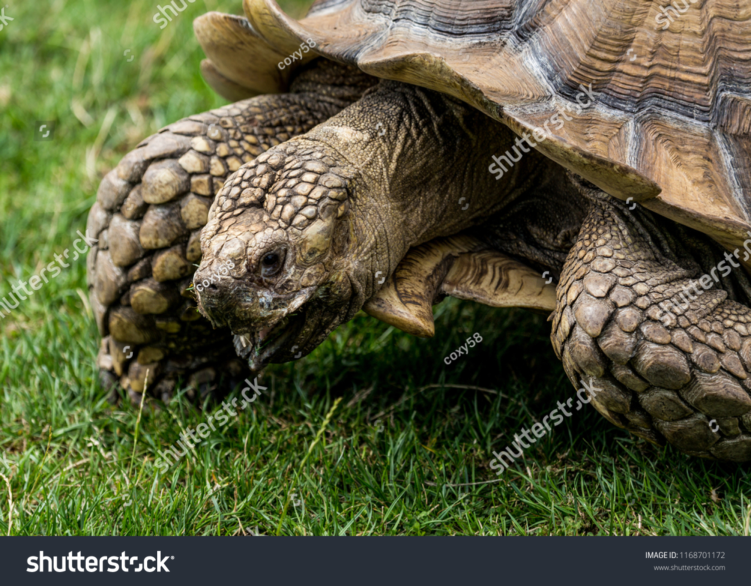 tortoisesvn,TortoiseSVN的安装方法 tortoisesvn,TortoiseSVN的安装方法