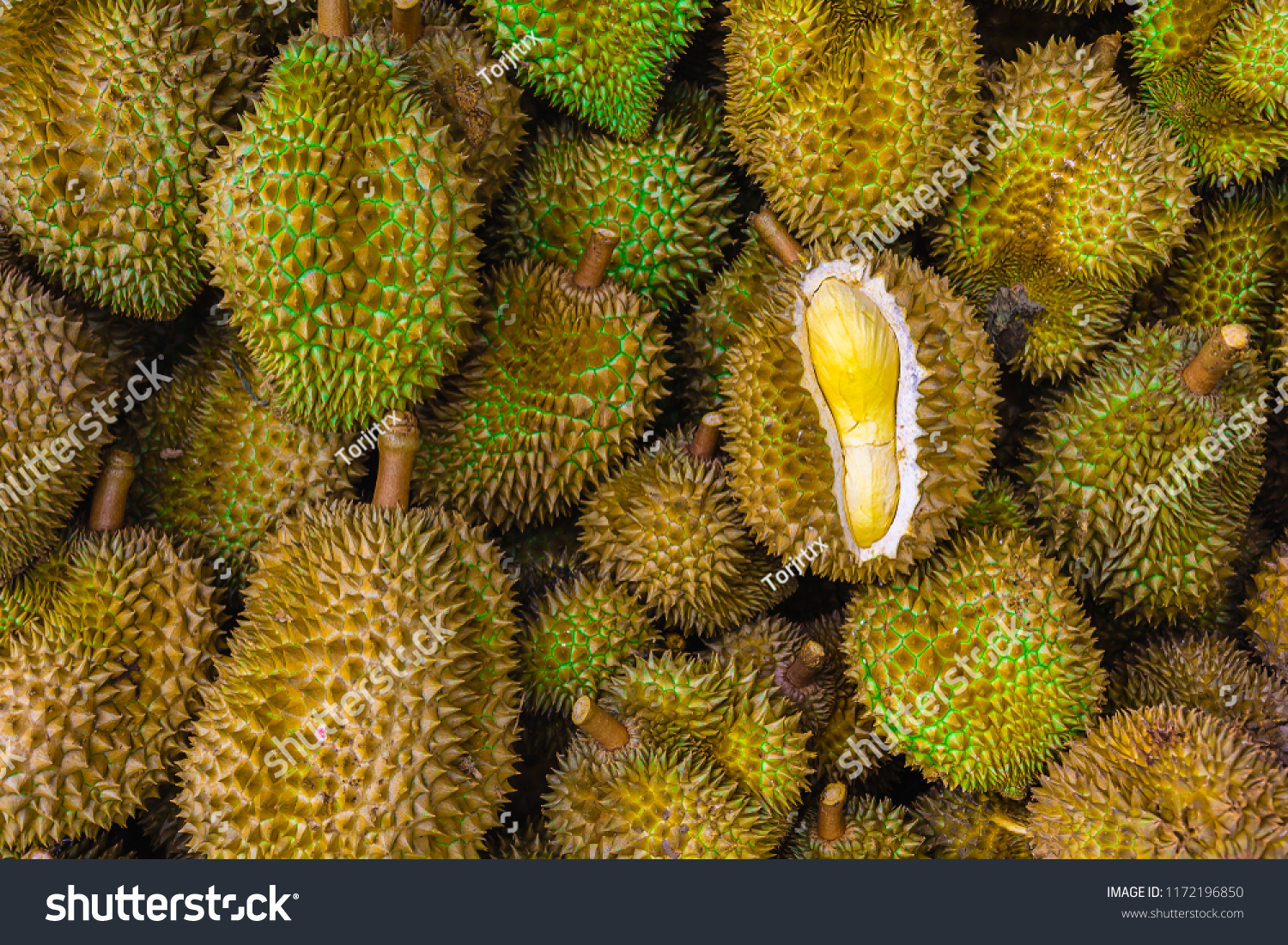 Group of fresh durians in the durian market.
