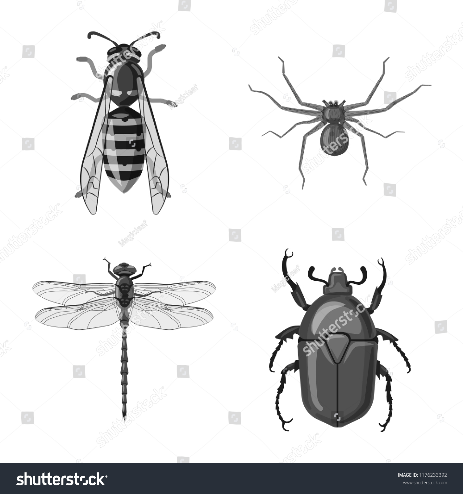 collection of insect and element stock vector illustration