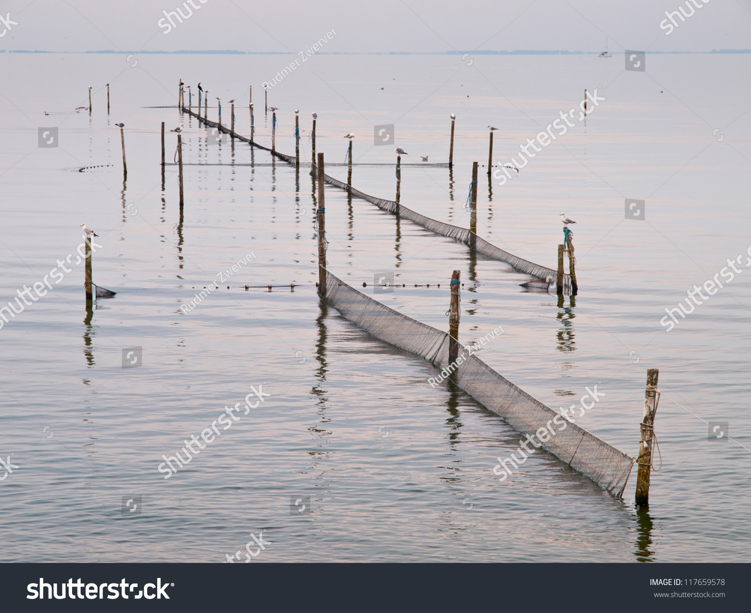 polen with gulls and fishing nets in the sea