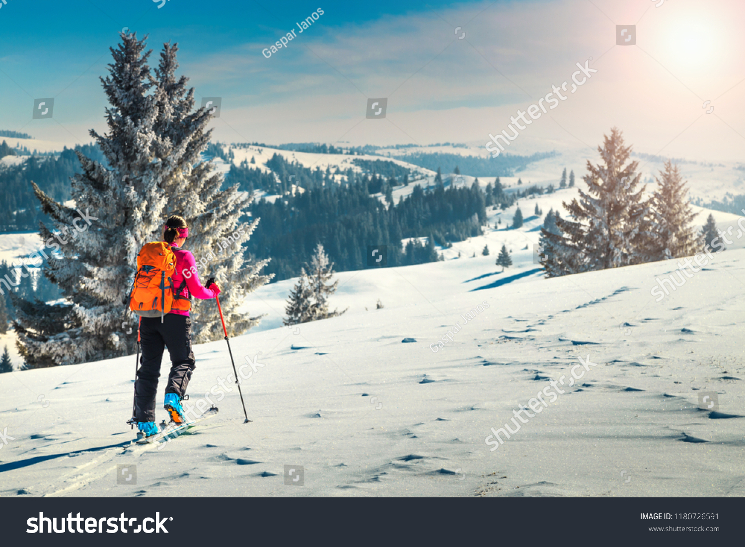 Ski touring in high alpine landscape with snowy trees. Adventure winter activities skitouring in spectacular mountains Transylvania Carpathians Romania Europe