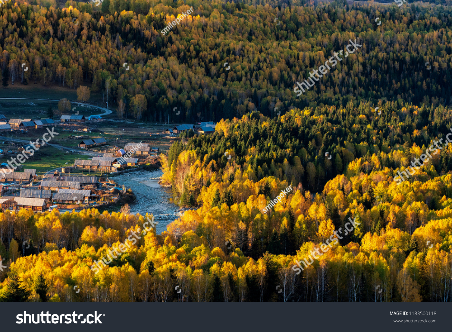 View of Hemu village in Autumn time  Xinjiang  China. The famous village for tourist