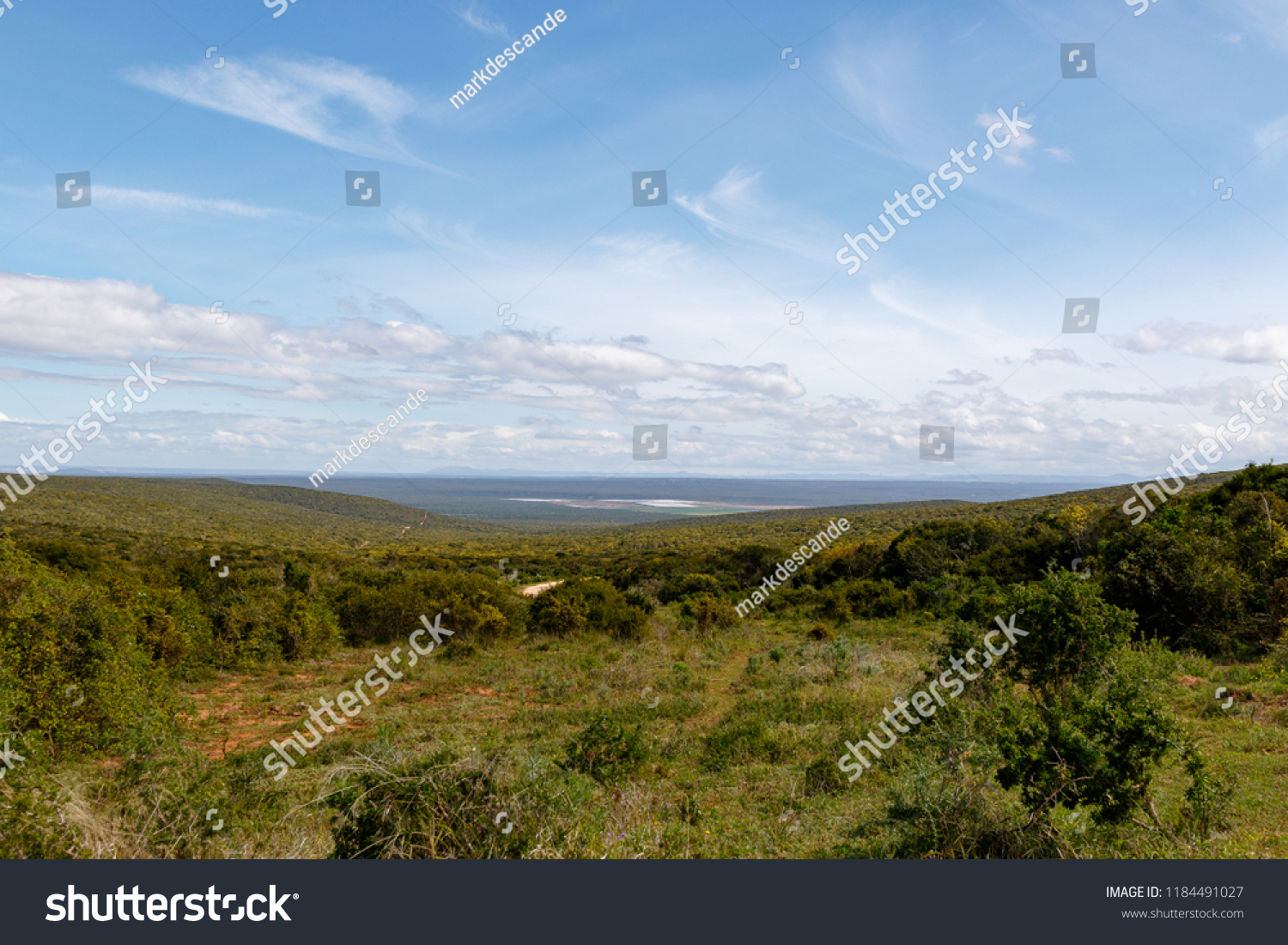 point over the field full of green grass and trees on a cloudy