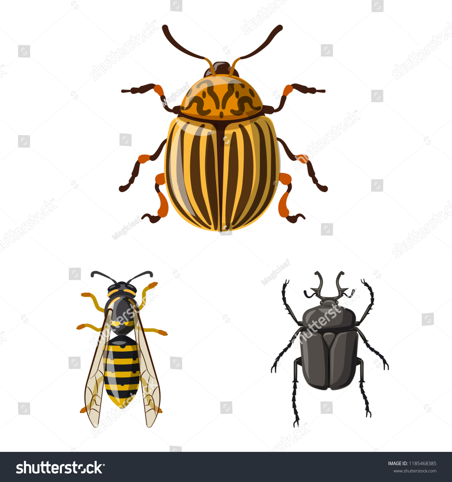 isolatedobjectofinsectandflyiconsetofinsectandelementstocksymbol