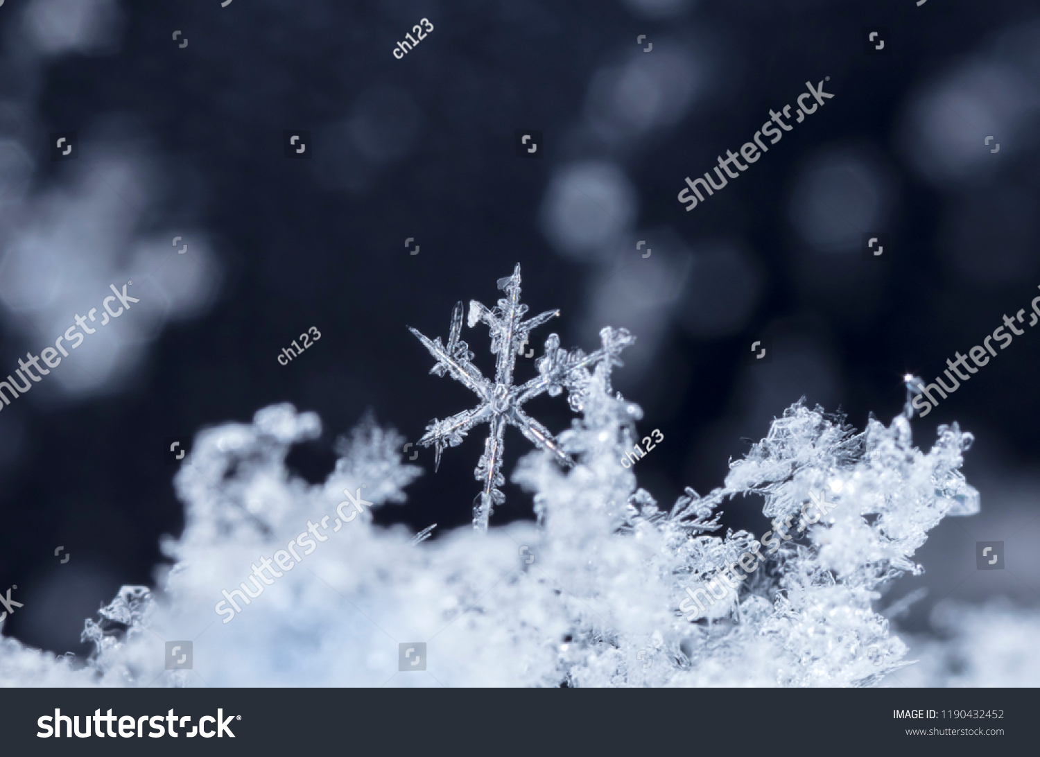 snowflake in the snow  winter