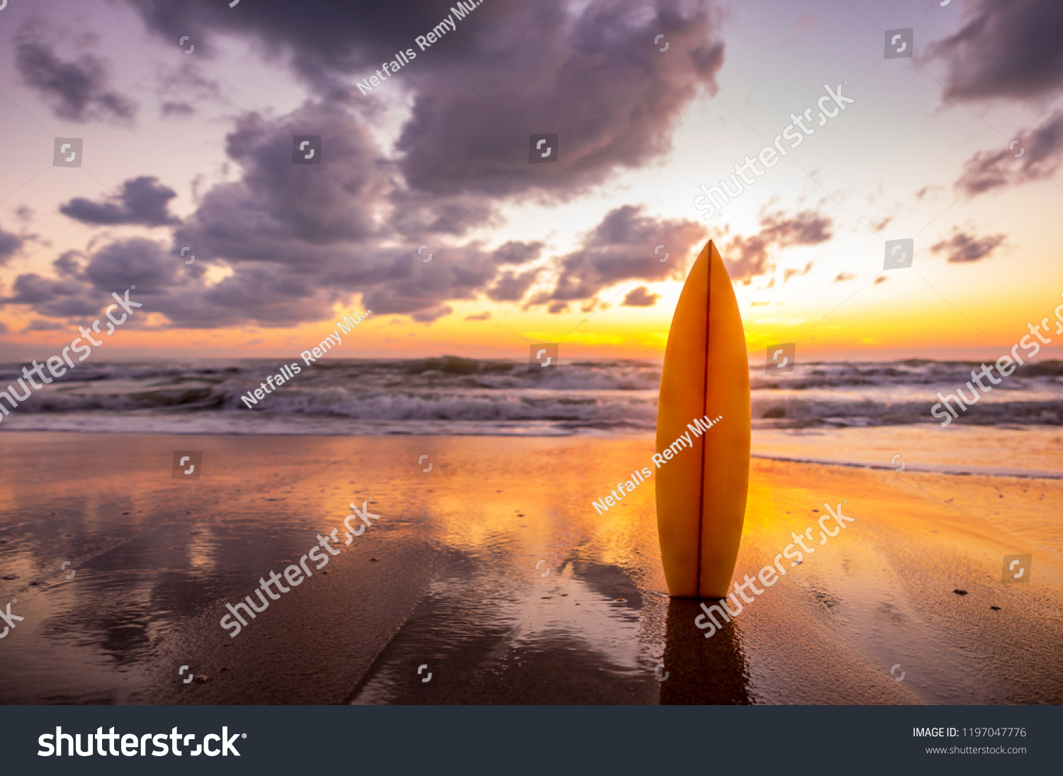 surfboard on the beach in sea shore at sunset time with beautiful light. water sport background