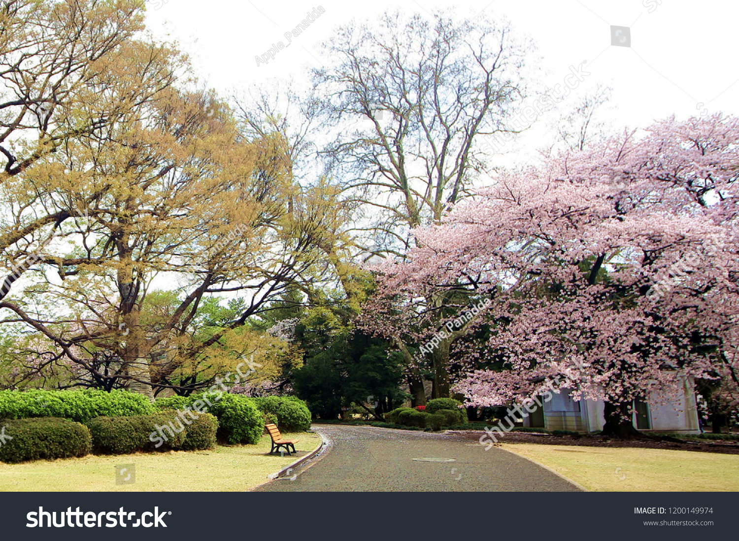 Landscape at Shinjuku Gyoen National Garden 
