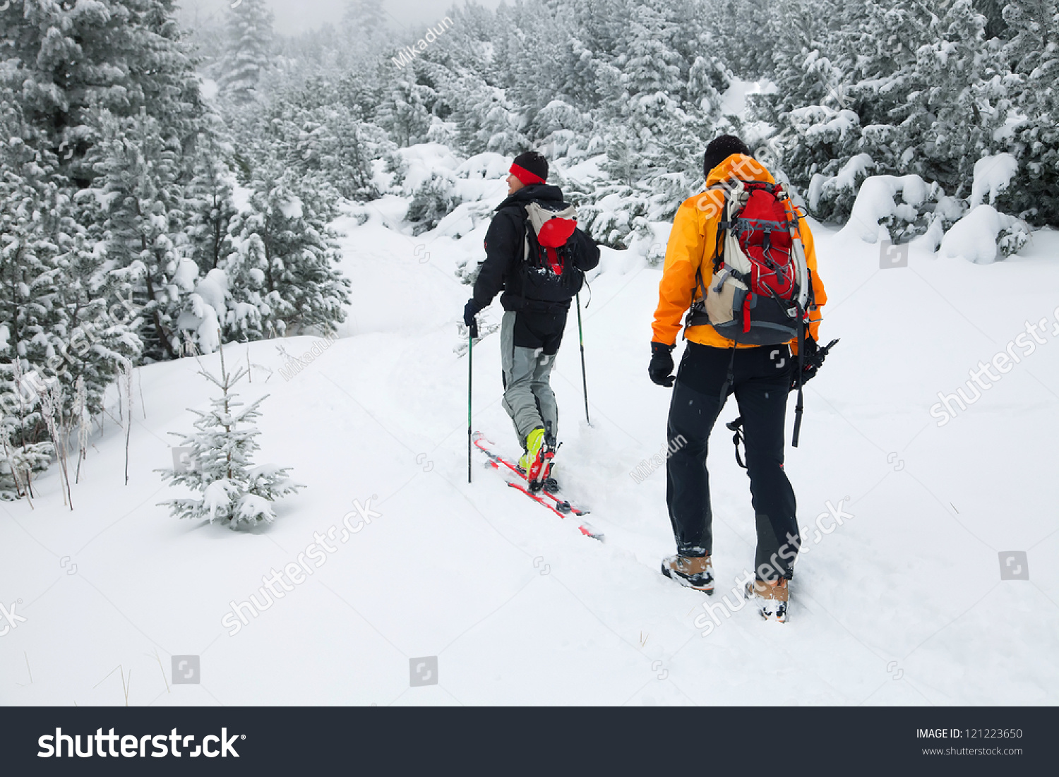 Trekking in harsh winter conditions