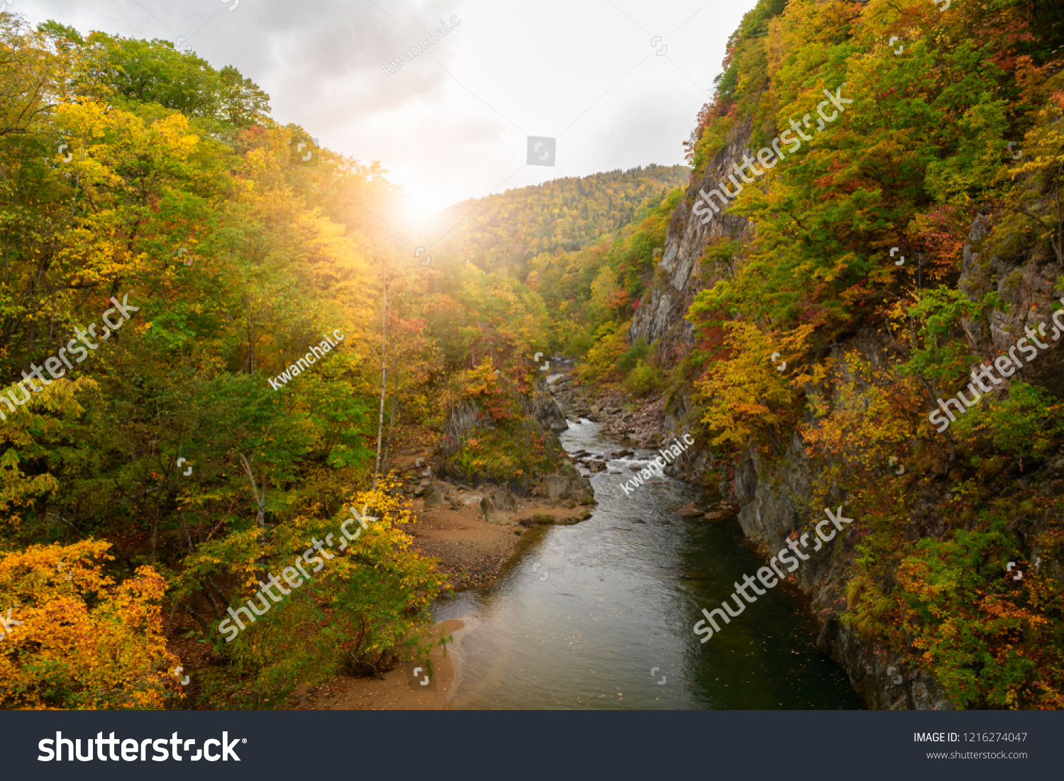 colourful forest on autumn season in Jozankei  The famous plase in Hokkaido  Japan.