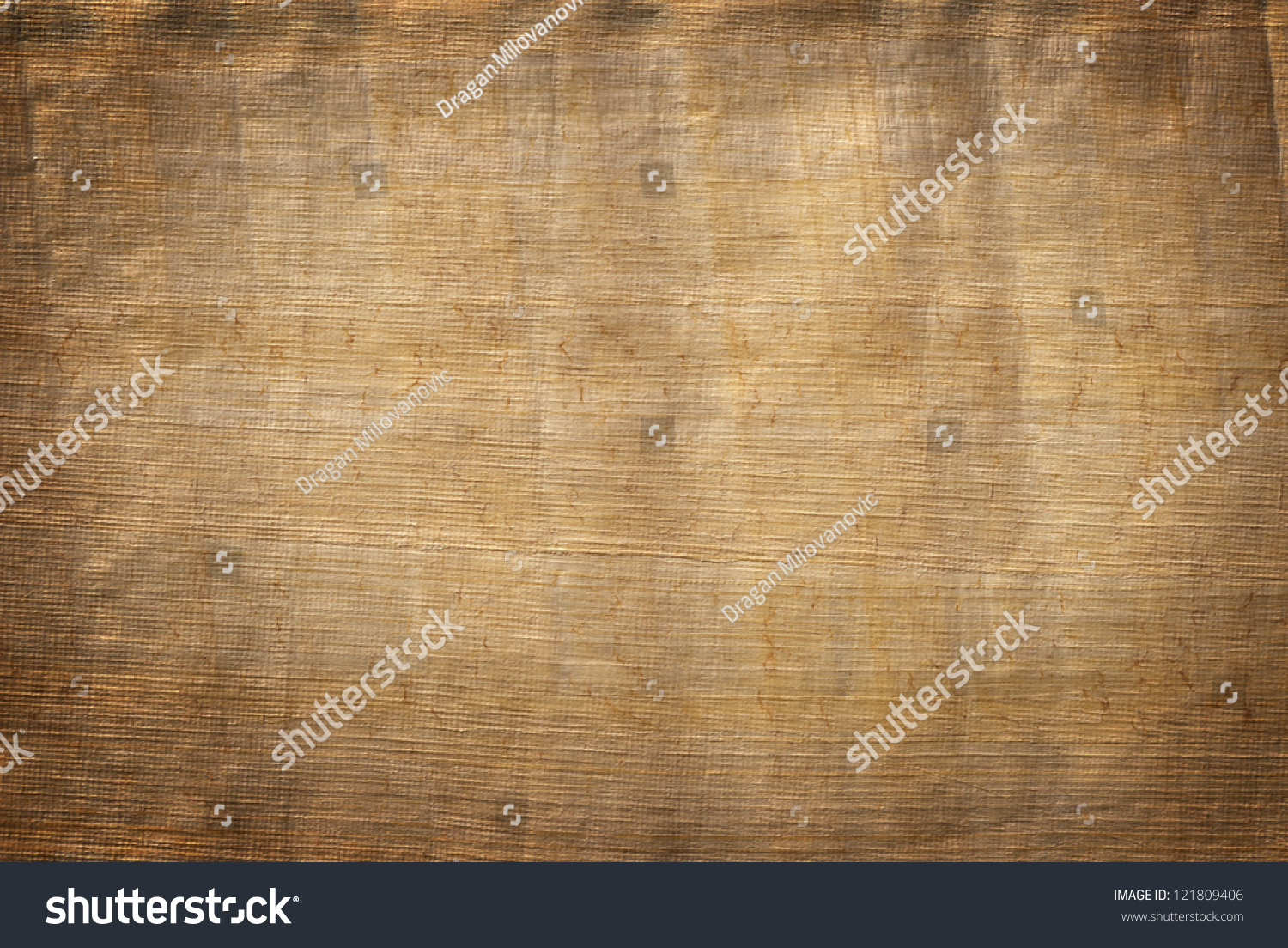 Papyrus paper texture