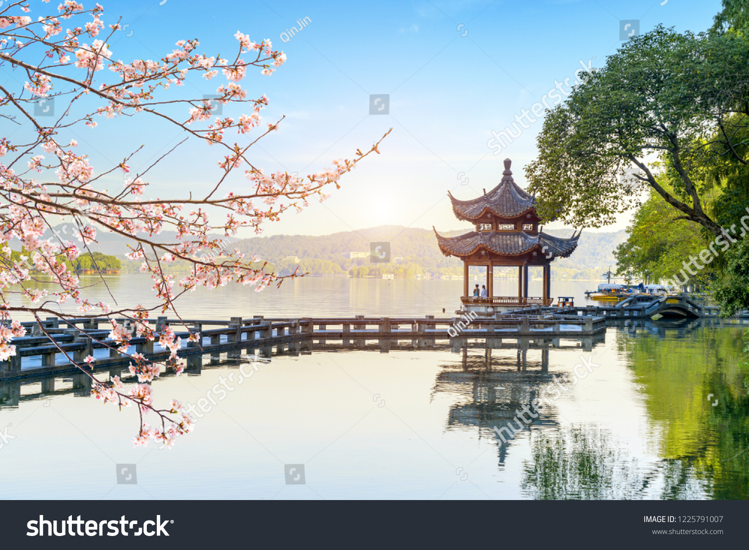 a blooming tree Beautiful architectural landscape and landscape in West Lake  hangzhou