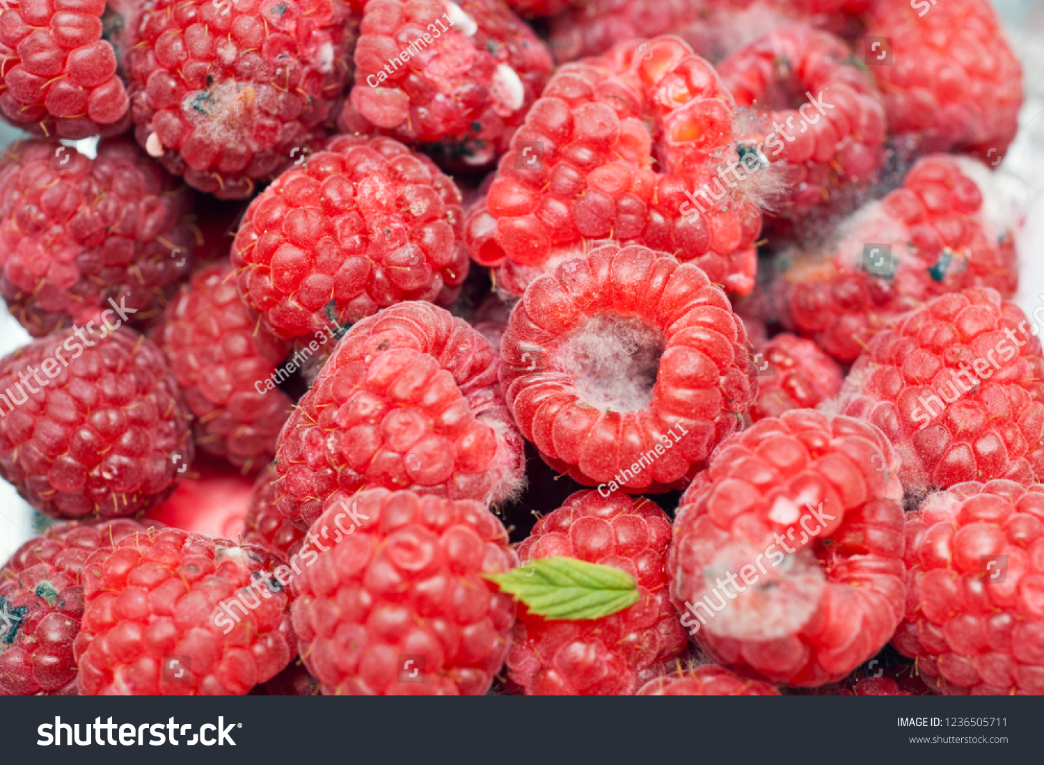 raspberrypi，raspberrypi login什么意思