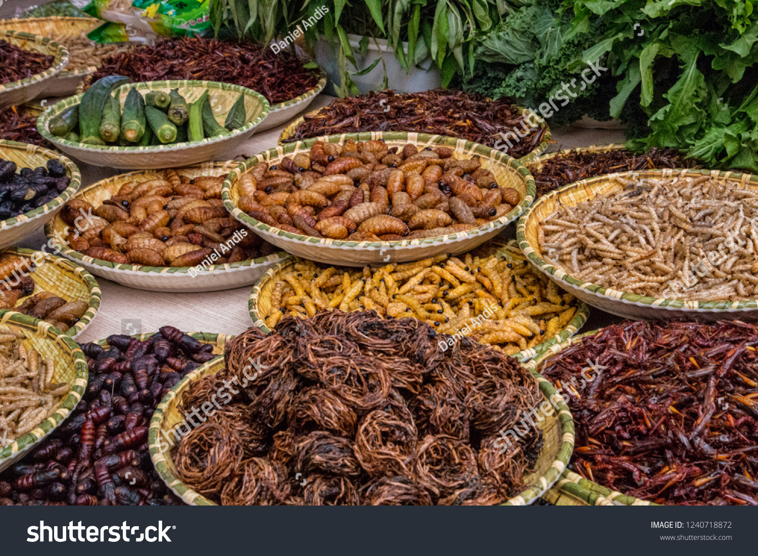 Trays of Fried Insects Larvae Grubs and Worms. Sampling of Local Dai Ethnic Minority Food in Southern China. Example of Exotic Cuisine (Kunming Yunnan Province China).