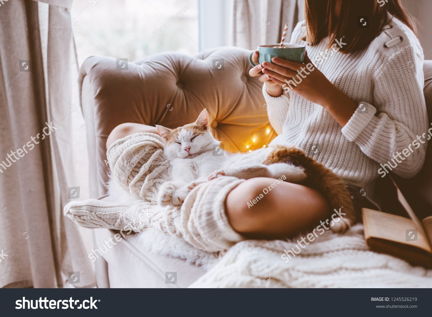 Cold autumn or winter weekend while reading a book and drinking warm cocoa with marshmellows. Lazy day with cat on the sofa. Cosy scene hygge concept.